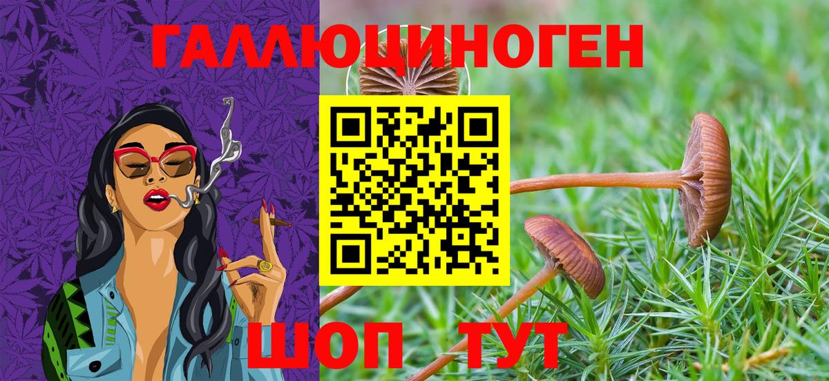 Саранск  Галлюциногенные грибы MAGIC MUSHROOMS  Вход с VPN 